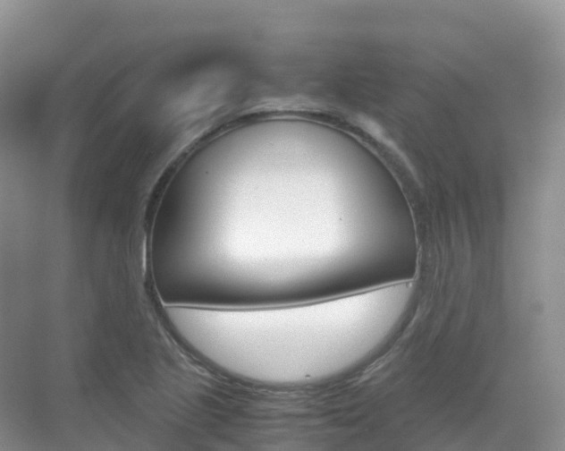 X0000070371221200606090817