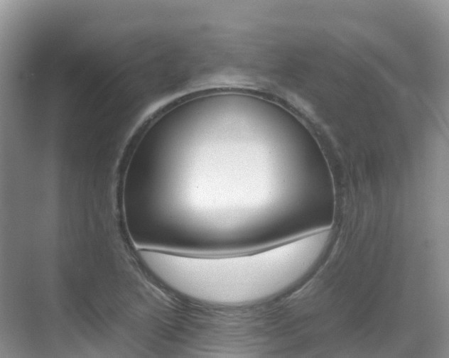 X0000070371222200606090817