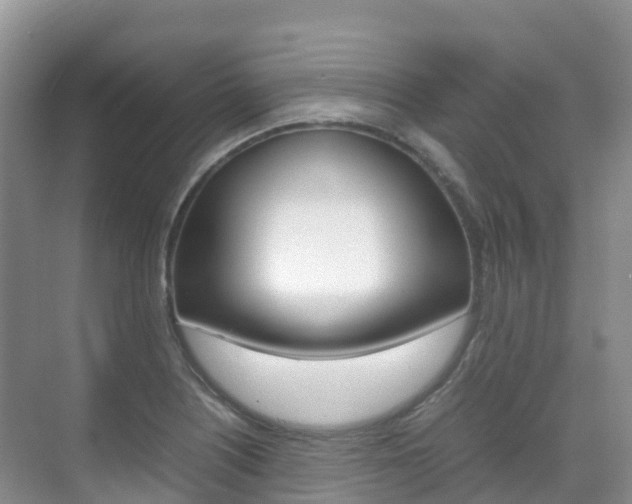 X0000070371226200606090817