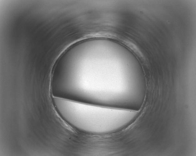 X0000070371228200606090817