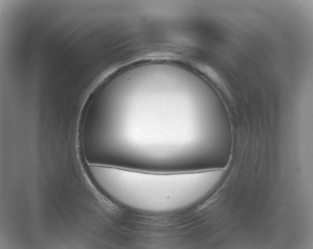 X0000070371229200606090817