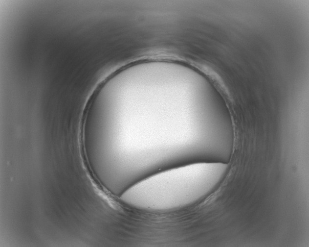 X0000070371231200606090817