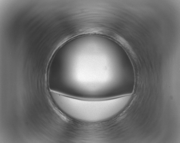 X0000070371234200606090817