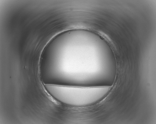 X0000070371236200606090817