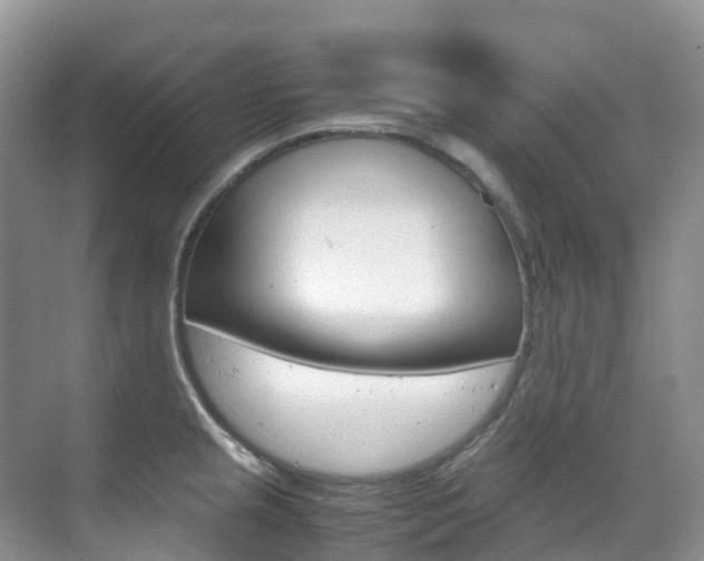 X0000070371237200606090817