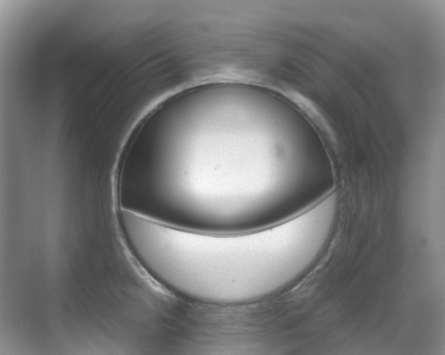 X0000070371238200606090817