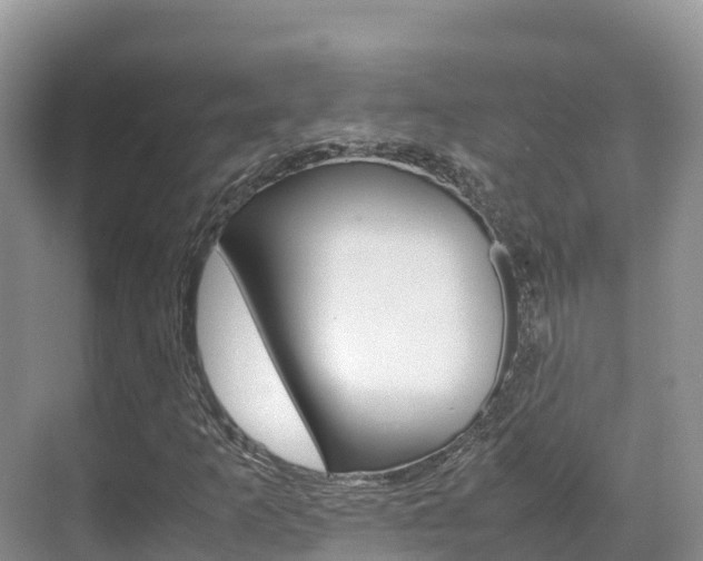 X0000070371253200606090817