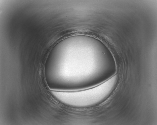X0000070371257200606090816