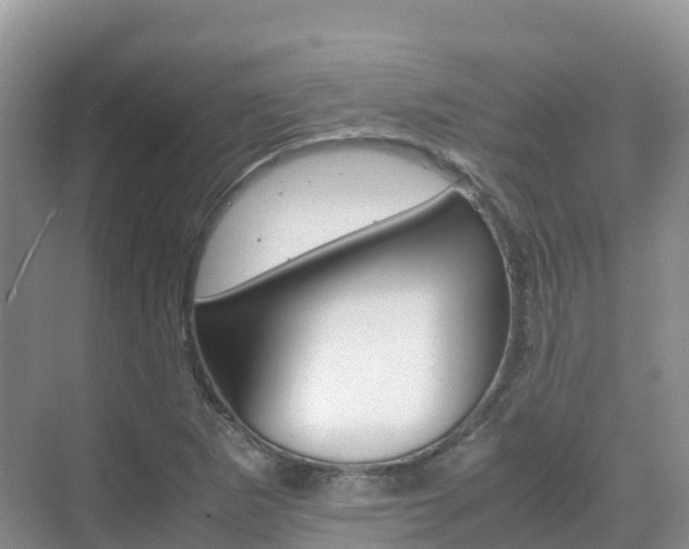 X0000070371265200606090816