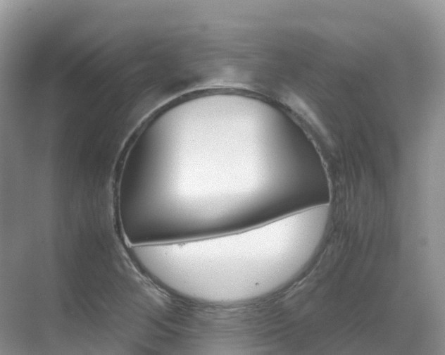 X0000070371268200606090816