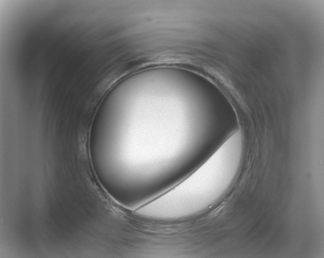 X0000070371273200606090816