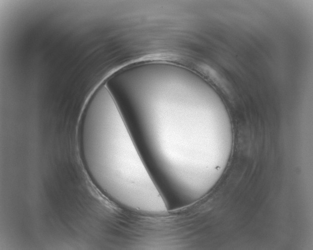 X0000070371276200606090816