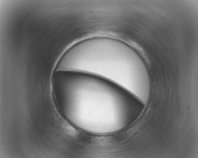 X0000070371280200606090816