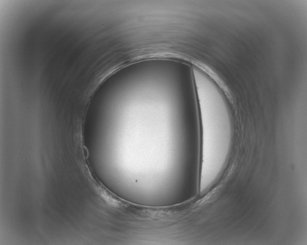 X0000070371289200606090816