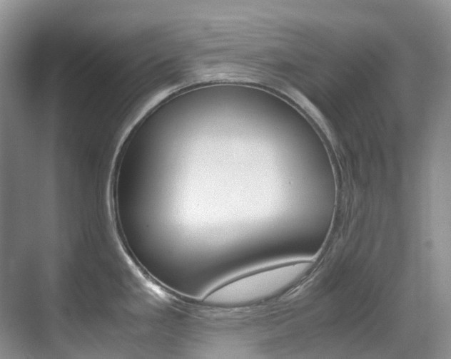 X0000070371293200606090816