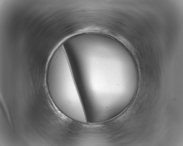 X0000070371296200606090816