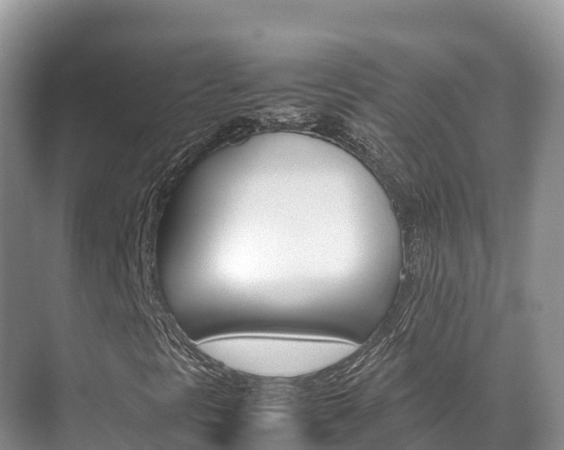 X0000070371297200606090815