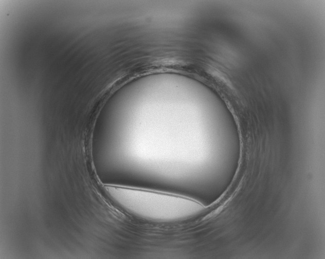X0000070371305200606090815