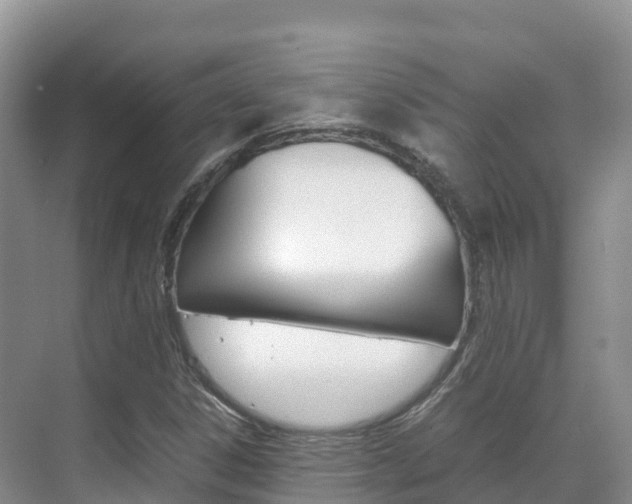 X0000070371306200606090815