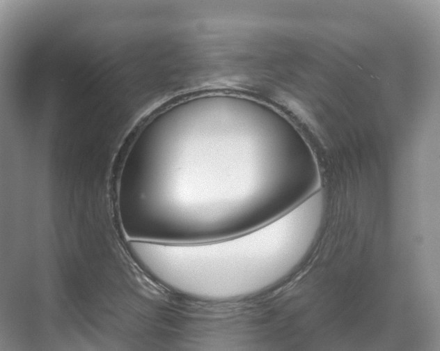 X0000070371308200606090815