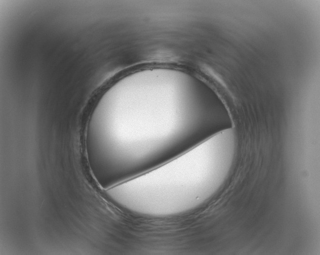 X0000070371315200606090815