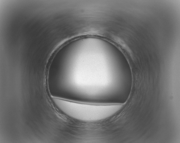 X0000070371316200606090815