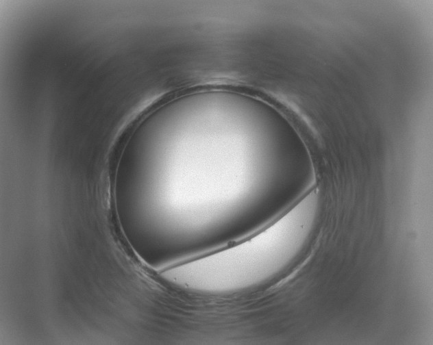 X0000070371317200606090815