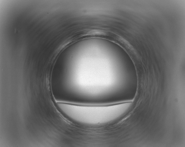 X0000070371321200606090815