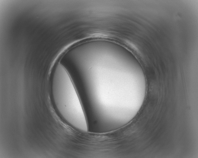 X0000070371323200606090815