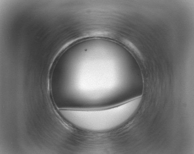 X0000070371324200606090815
