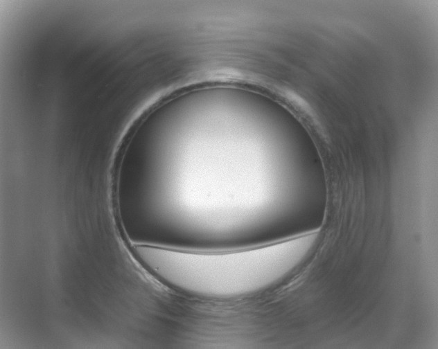 X0000070371326200606090815