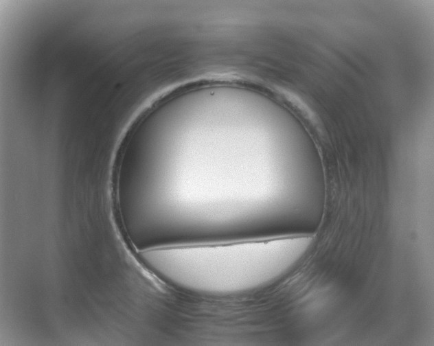 X0000070371327200606090815