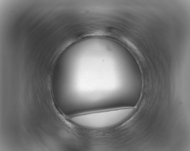 X0000070371329200606090816