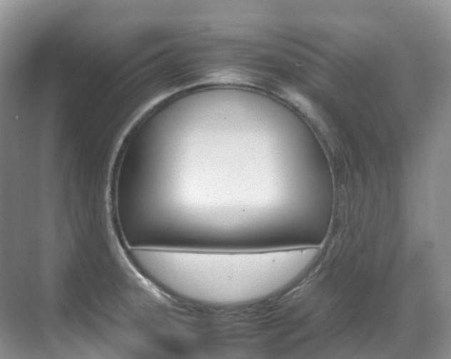 X0000070371331200606090816
