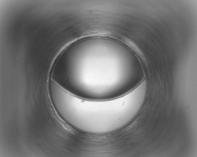 X0000070371332200606090816