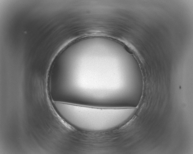 X0000070371333200606090816