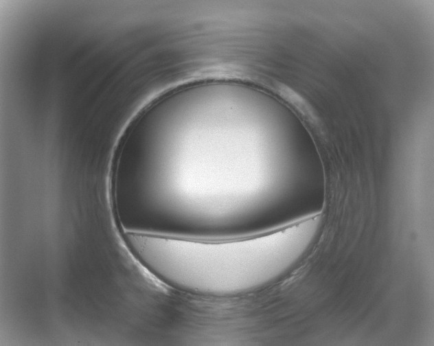 X0000070371334200606090816