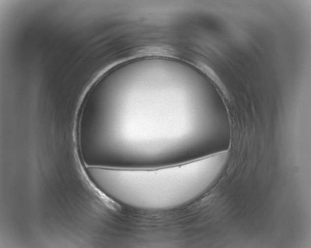 X0000070371339200606090816