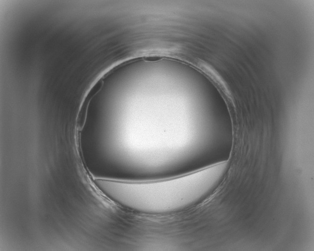 X0000070371340200606090816