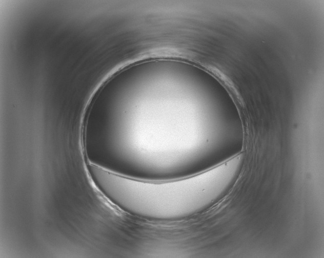 X0000070371342200606090816