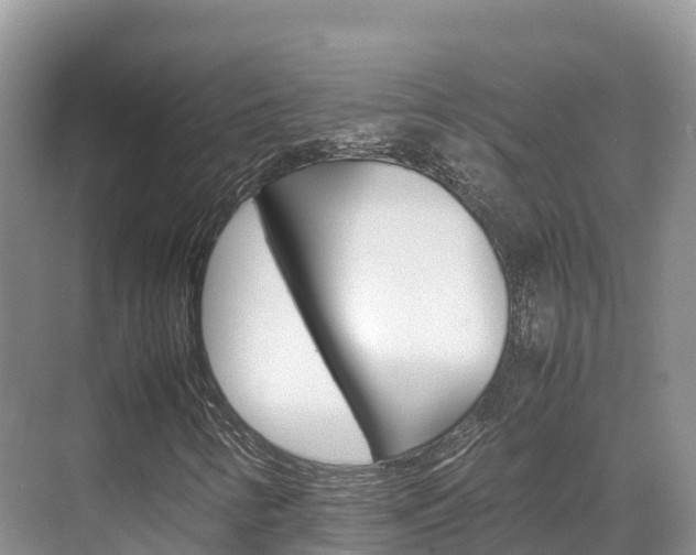 X0000070371346200606090815