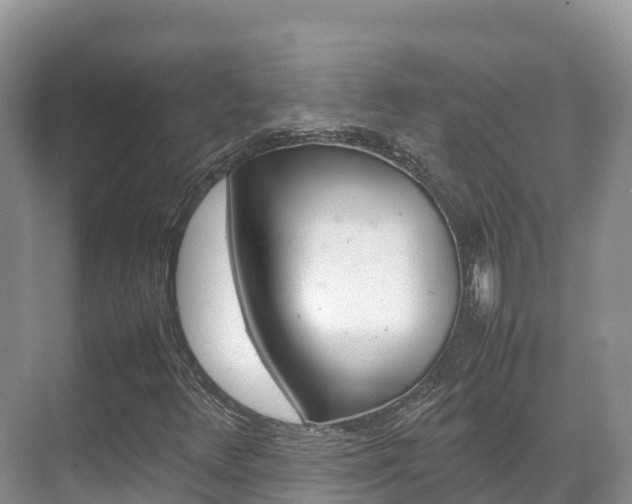 X0000070371348200606090815