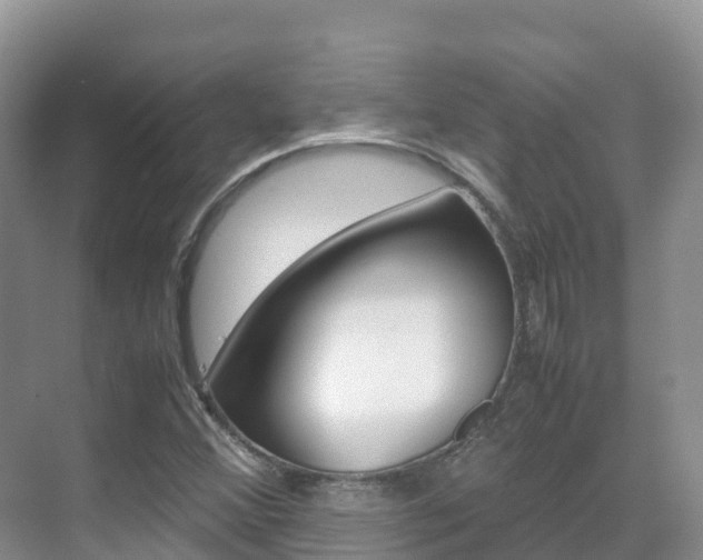 X0000070371356200606090815