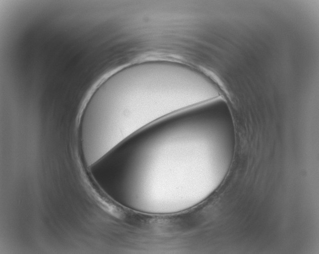 X0000070371371200606090815