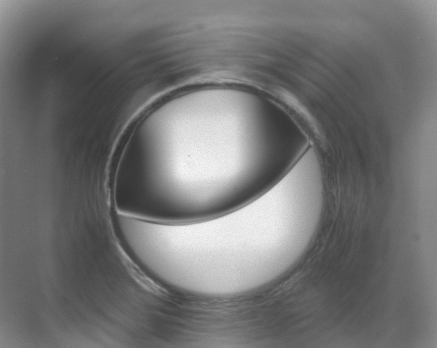 X0000070371372200606090815