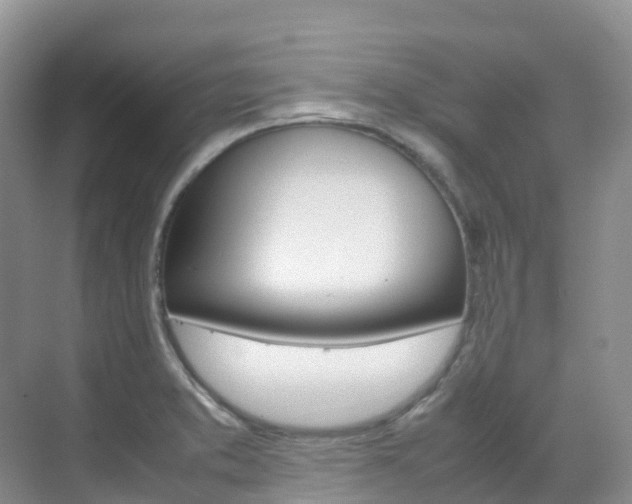 X0000070371373200606090815