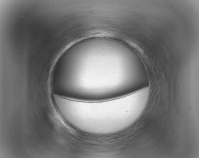 X0000070371375200606090814