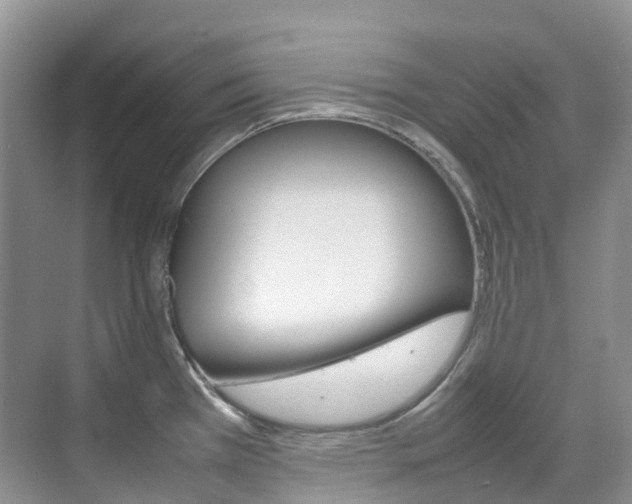 X0000070371385200606090814