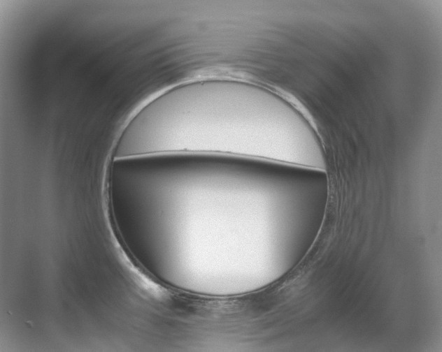 X0000070371387200606090814