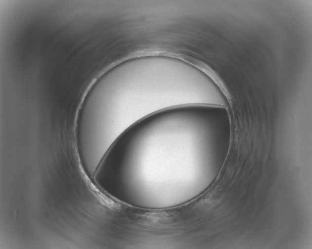 X0000070371388200606090814